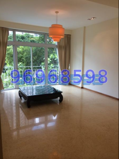 The Aston (D10), Apartment #45884762